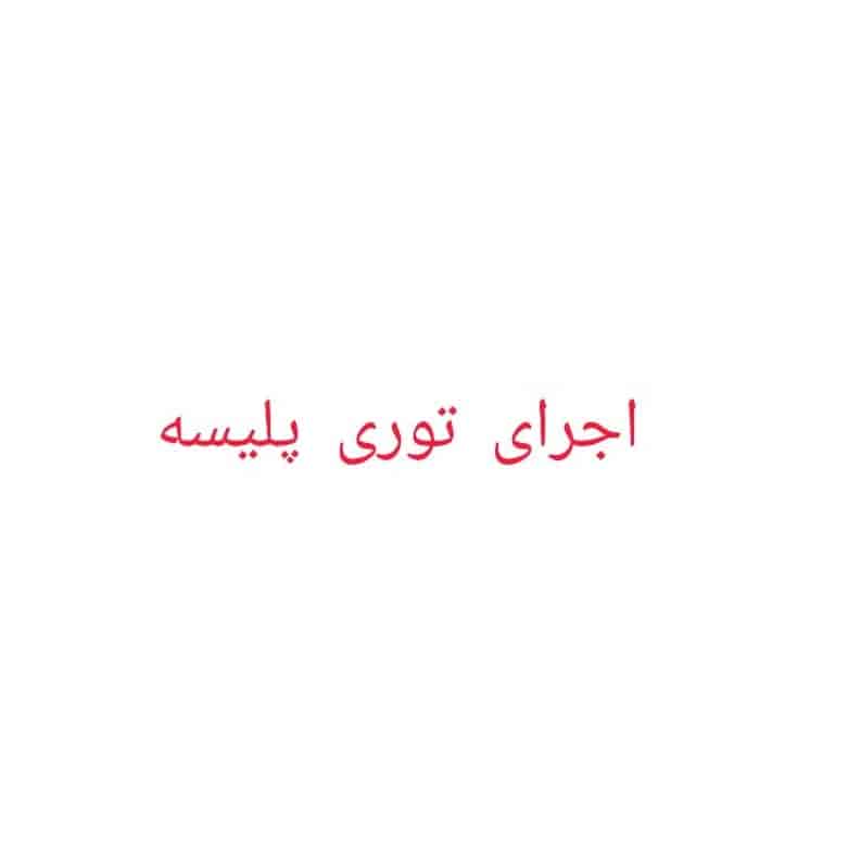 توری پلیسه